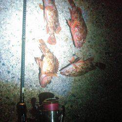 新しいくっそ安いワームでガシリングの巻